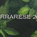 Apartment Ferrarese209 *