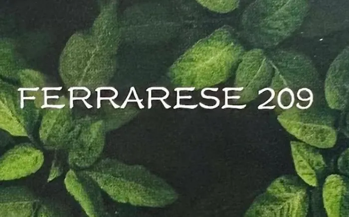 شقة Ferrarese209 *