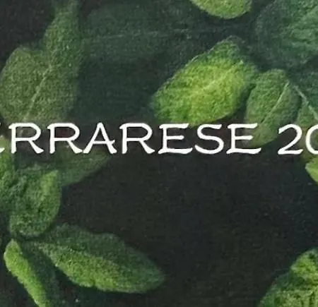 Апартаменты Ferrarese209 *